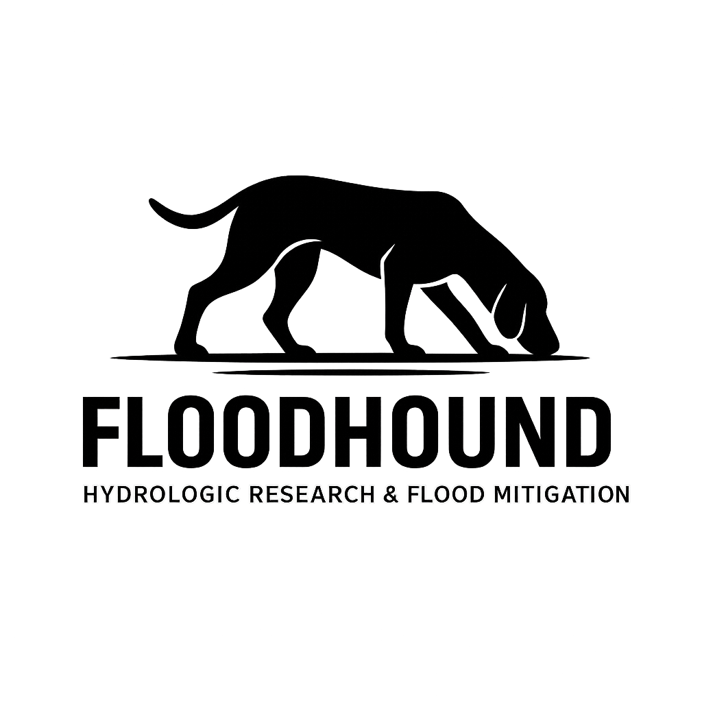 Urban flood risk analysis